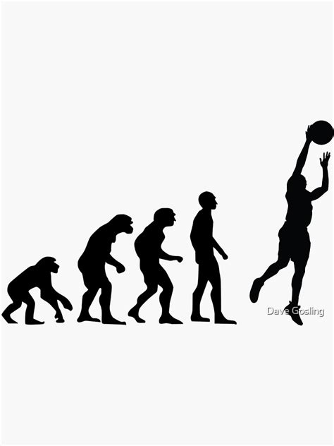 "Basketball evolution" Sticker by Davesconnect | Redbubble