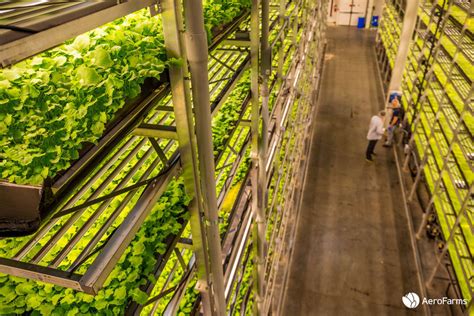 Growing up in the Garden State: Vertical farms prove to be bright spot on N.J.'s agricultural ...