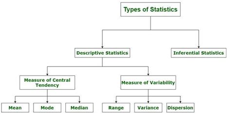 Types of Statistics: Overview, Questions, Easy Tricks, Rules, Preparation