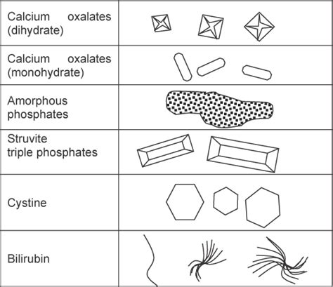 Bilirubin Crystal In Urine