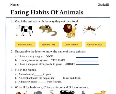 Eating Habits Of Animals | Worksheets for grade 3, Science worksheets, Animal worksheets