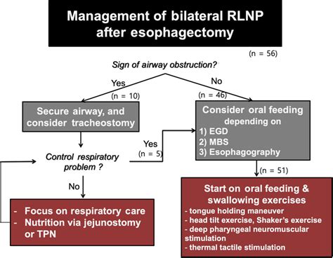 Management of patients with bilateral recurrent laryngeal nerve ...