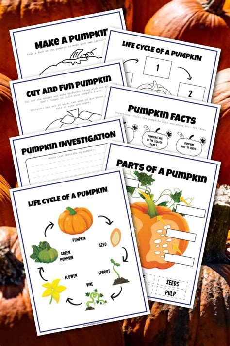 Pumpkin Facts For Kids - Printable Pumpkin Activities - Made with HAPPY