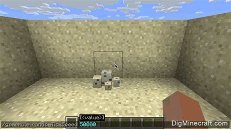 How to Hatch Turtle Eggs in Minecraft