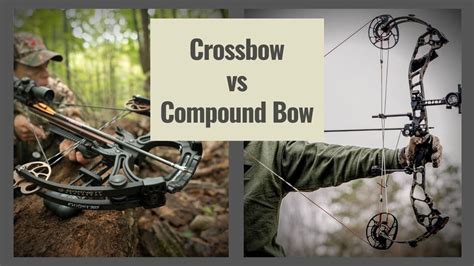 Crossbow VS Compound Bow – Which One is Better? - The Shooting Gears