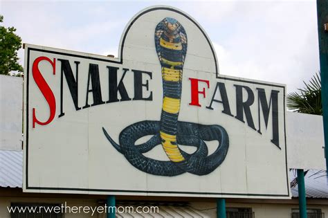 Snake Farm ~ New Braunfels, TX - R We There Yet Mom?