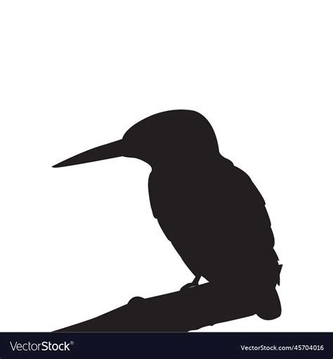 Common kingfisher silhouette Royalty Free Vector Image