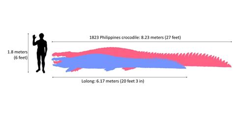 Crocodile bigger than Lolong? [1823 Philippines Crocodile] - Our Planet