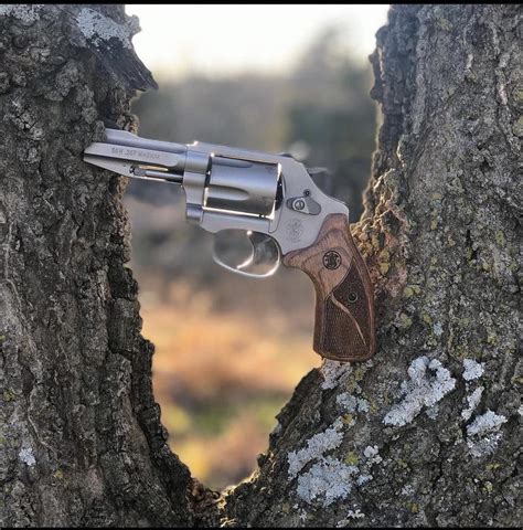 S&W Model 60 Pro Series in the Texas sunset. : r/Revolvers