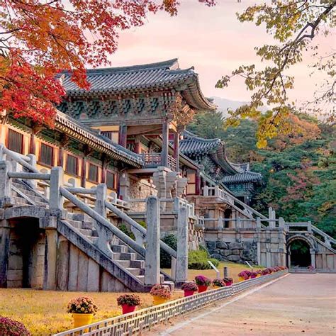 7 Days South Korea Cultural Tour Package @Dook