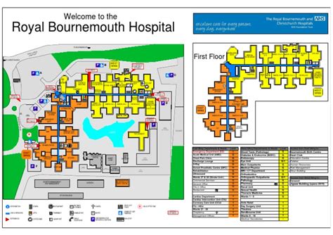 (9) RBH map