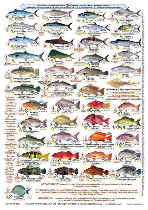 Fishers Fish Identification Card (Slate) - Qld & Great Barrier Reef / – CAMTAS Int. Pty. Ltd ...