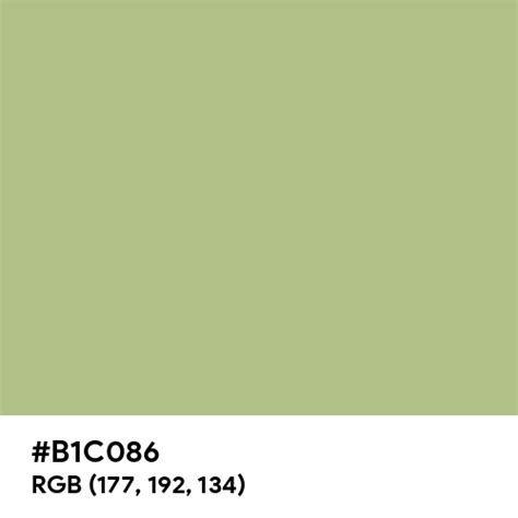 Pastel Avocado color hex code is #B1C086