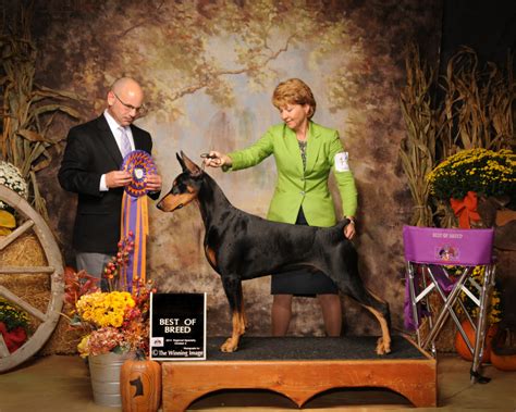 National Dog Show judge calls UofL home | UofL News