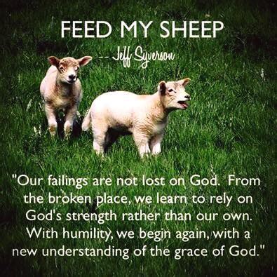 Feed My Sheep (June 2) | Feed my sheep, Scripture reading, Gods strength