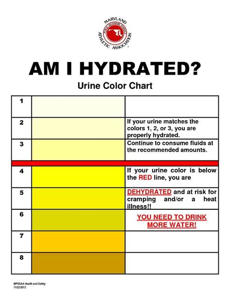 printable urine hydration chart - urine color chart | are you hydrated ...