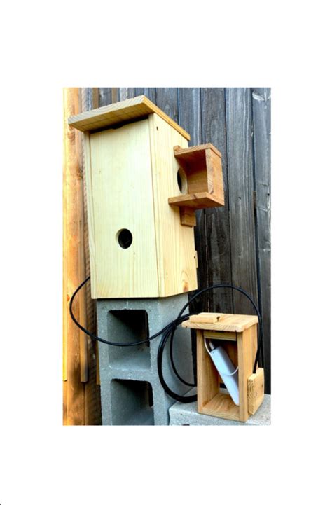 Squirrel Nesting Box With Camera Squirrel Nesting House With - Etsy