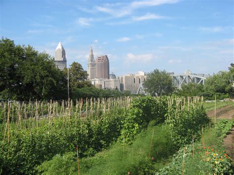 USDA recognizes Ohio City Farm as national model for urban agriculture | Crain's Cleveland Business