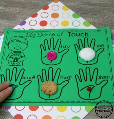 Preschool 5 Senses Activities 5 Senses Activities Senses Activities | Images and Photos finder