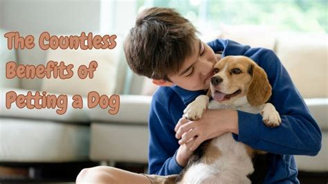 The Countless Benefits of Petting a Dog