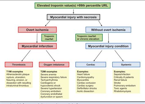 [PDF] Myocardial Infarction Type 2 and Myocardial Injury. | Semantic ...