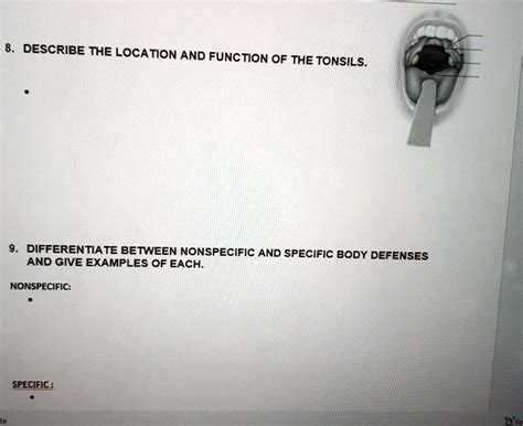 SOLVED: Assignment 8. DESCRIBE THE LOCATION AND FUNCTION OF THE TONSILS ...