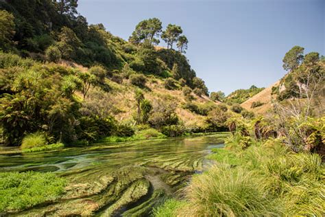 Waiau River Stock Photo - Download Image Now - iStock