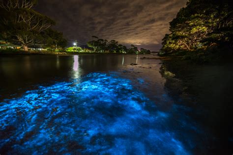 You Can Cruise Through Magical Neon Blue Waters At This National Park Just A Few Hours From Miami