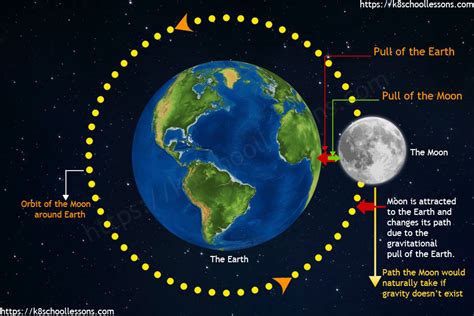 Gravity for Kids | What is Gravity? | Pull of Gravity | Gravitational Pull