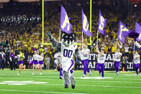 Washington Huskies' Head Coaching Job: Challenges and Potential ...