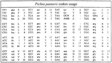 Codon Usage Chart: A Visual Reference of Charts | Chart Master