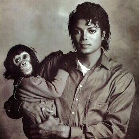 Michael Jackson Chimp Script ‘Bubbles’ Set for Stop-Motion Animation Film