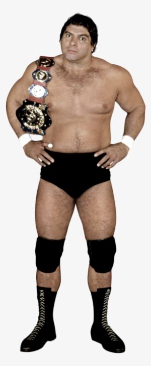 Don Muraco - Don Muraco Intercontinental Champion PNG Image | Transparent PNG Free Download on ...