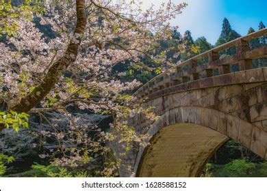 3,238 Kagoshima Gardens Images, Stock Photos & Vectors | Shutterstock