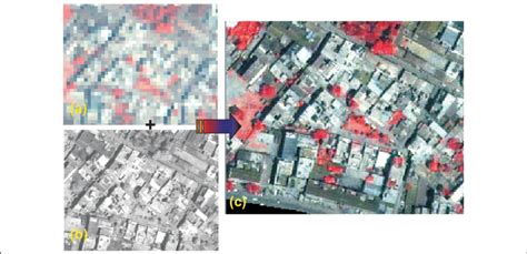 (a) Ikonos multi-spectral image (b) Ikonos panchromatic image (c ...