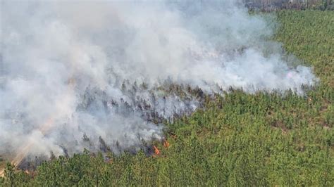 Rain provides hope for Louisiana firefighters battling hundreds of wildfires amid extreme drought