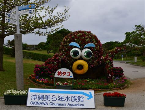 Okinawa Churaumi Aquarium - Zimmin Around the World