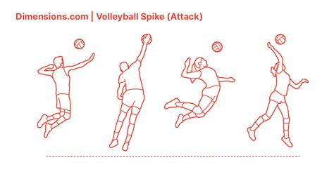 Volleyball Spike (Attack) Dimensions & Drawings | Dimensions.com