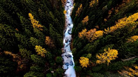 Forest Aerial View 4k Wallpapers - Wallpaper Cave