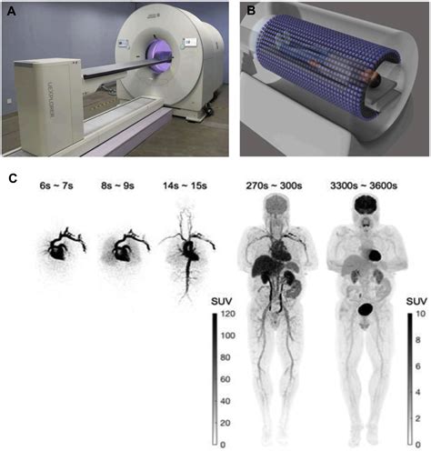 Total-Body PET Kinetic Modeling and Potential Opportunities Using Deep ...