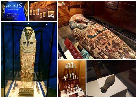 Mummies of the World: The Exhibition – Bowers Museum | Plan A Day Out BlogMummies of the World ...