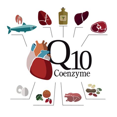 All About Coenzyme Q10