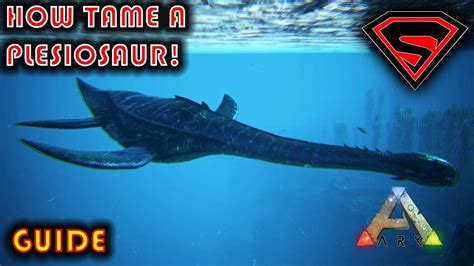 ARK HOW TO TAME A PLESIOSAUR 2020 - EVERYTHING YOU NEED TO KNOW ABOUT TAMING A PLESIOSAUR IN ARK ...