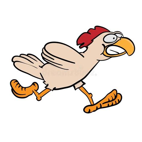 Cartoon chicken running fast. Cartoon illustration of a funny chicken running on a white ...