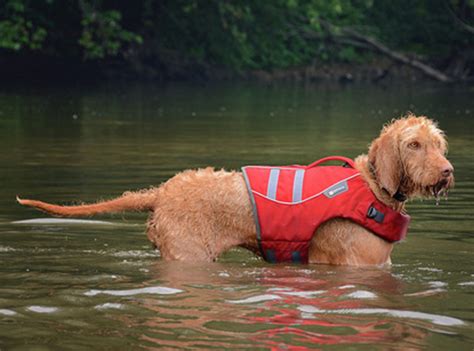 Ruffwear K9 Float Coat Dog Life Jacket - Best Dog Life Jacket