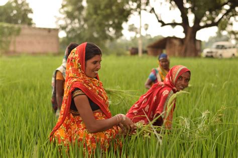 Young entrepreneur empowers her village | The Syngenta Foundation for ...