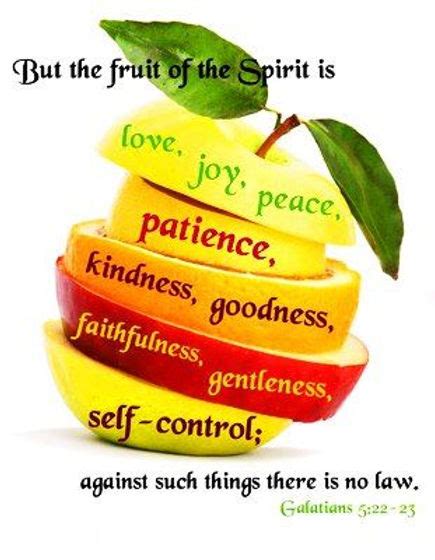 Daily Bible Verse About Bearing God's Fruit - Bible Time - Bible Verse