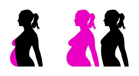 Clipart - pregnancy silhouet