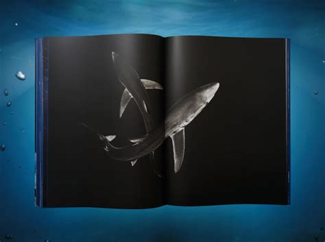 Michael Muller. Sharks. TASCHEN Books