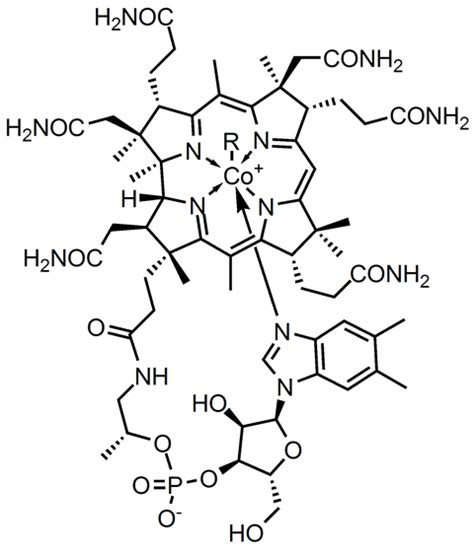 Vitamin B12 or Cobalamin | Podcast | Chemistry World